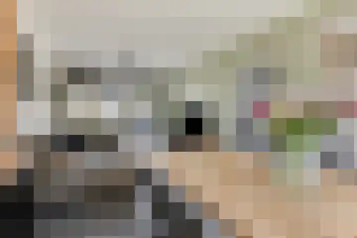 Hoogaarsstraat 13 Bruinisse thumbnail 8