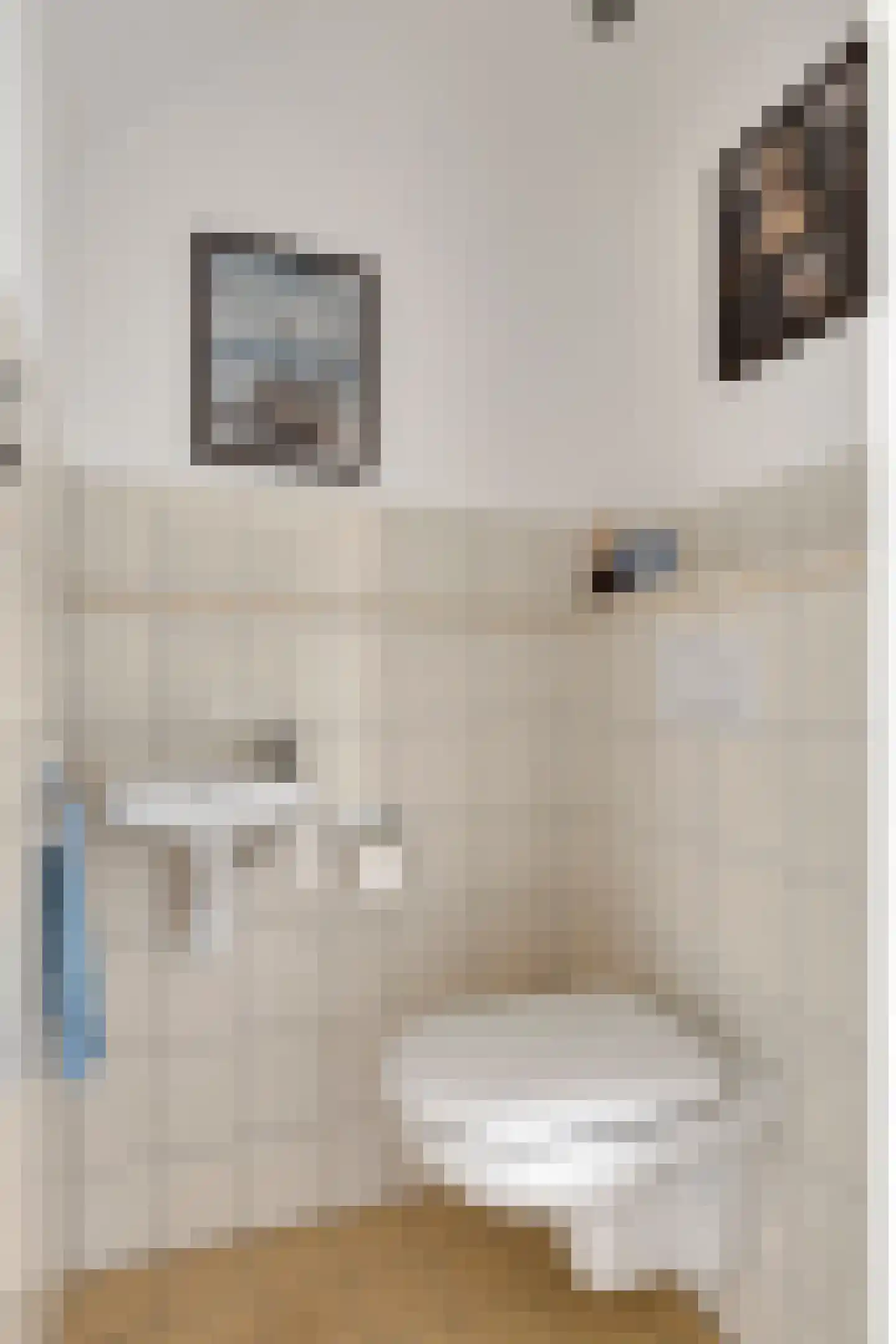 Hoogaarsstraat 14 Bruinisse thumbnail 10