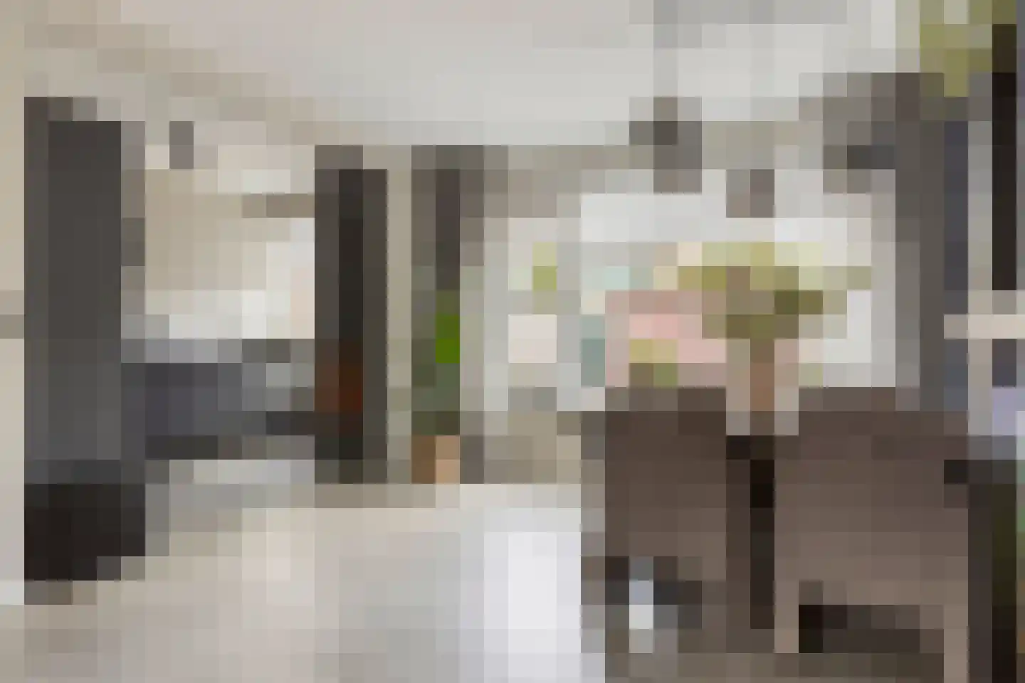 Hoogaarsstraat 14 Bruinisse thumbnail 15