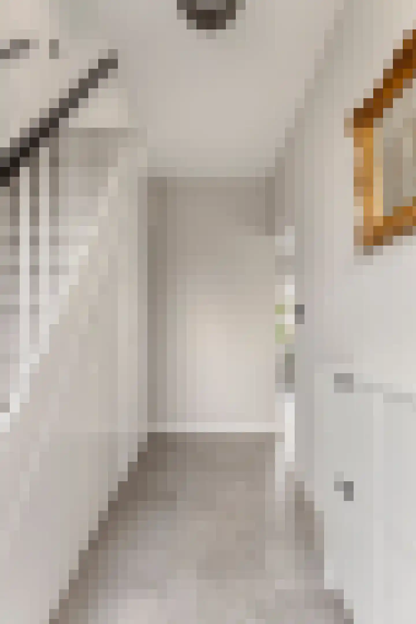 Hoogaarsstraat 14 Bruinisse thumbnail 21