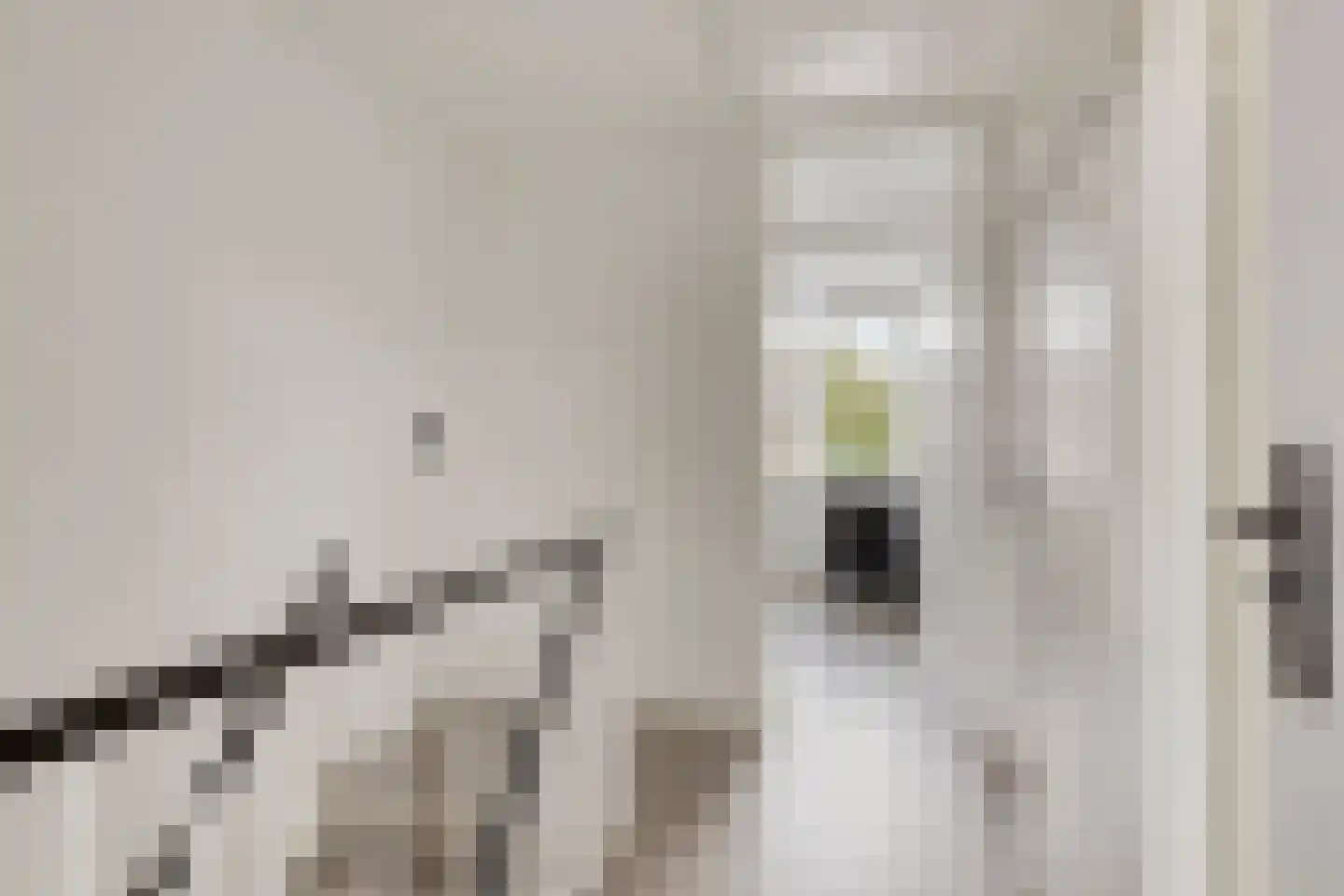 Hoogaarsstraat 14 Bruinisse thumbnail 28