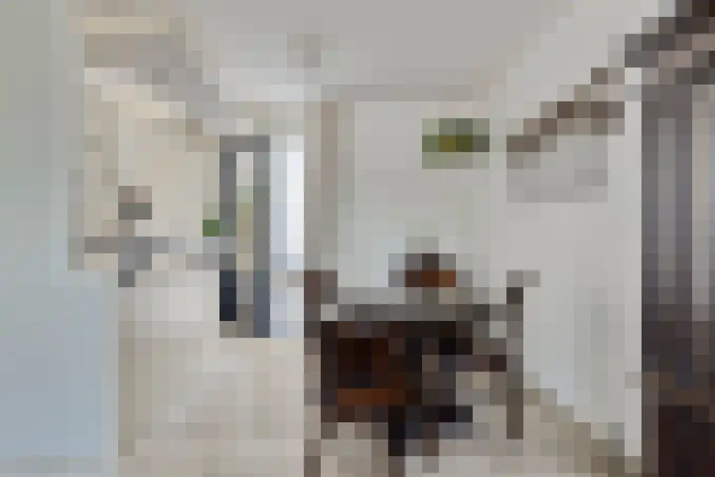 Hoogaarsstraat 2 c Tholen thumbnail 12