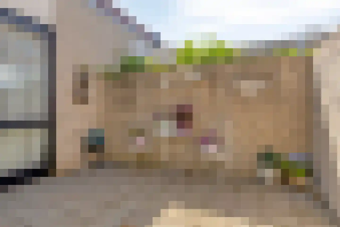 Hoogaarsstraat 2 c Tholen thumbnail 21