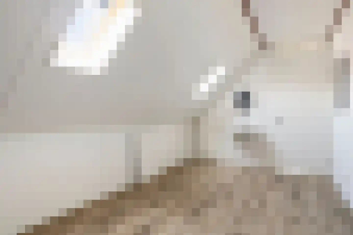 Hoogaarsstraat 2 c Tholen thumbnail 33