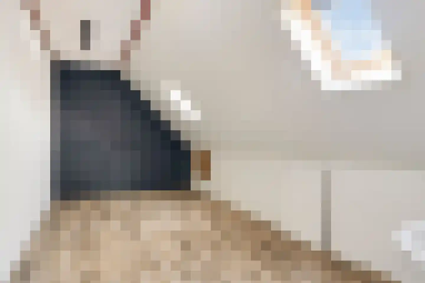 Hoogaarsstraat 2 c Tholen thumbnail 34