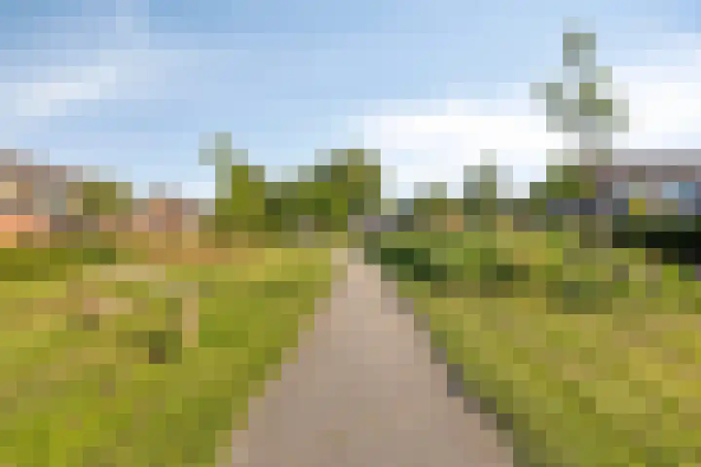 Hoogaarsstraat 2 c Tholen thumbnail 45