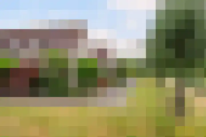 Hoogaarsstraat 2 f Tholen thumbnail 27