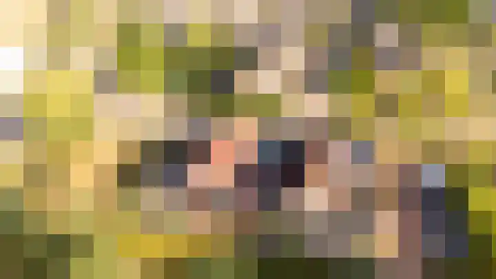 Hoogaarsstraat 2 f Tholen thumbnail 6