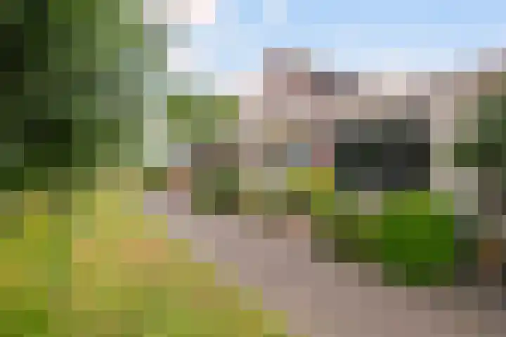 Hoogaarsstraat 2 f Tholen thumbnail 9
