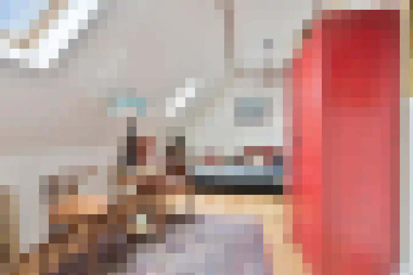 Hoogaarsstraat 2 g Tholen thumbnail 33