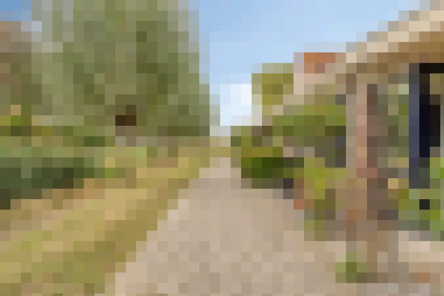 Hoogaarsstraat 2 g Tholen thumbnail 42