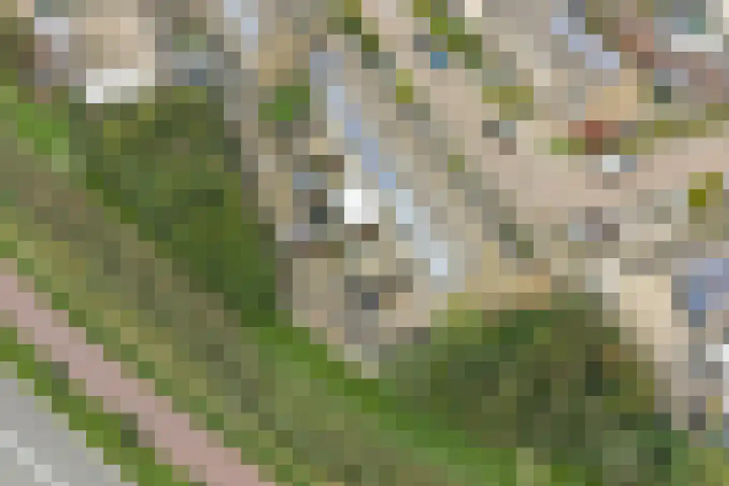Hoogaarsstraat 33 Tholen thumbnail 32