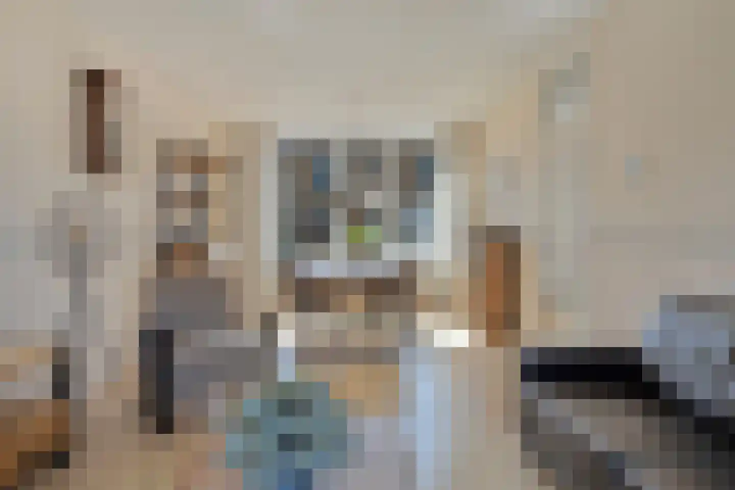 Hoogaarsstraat 48 Tholen thumbnail 8