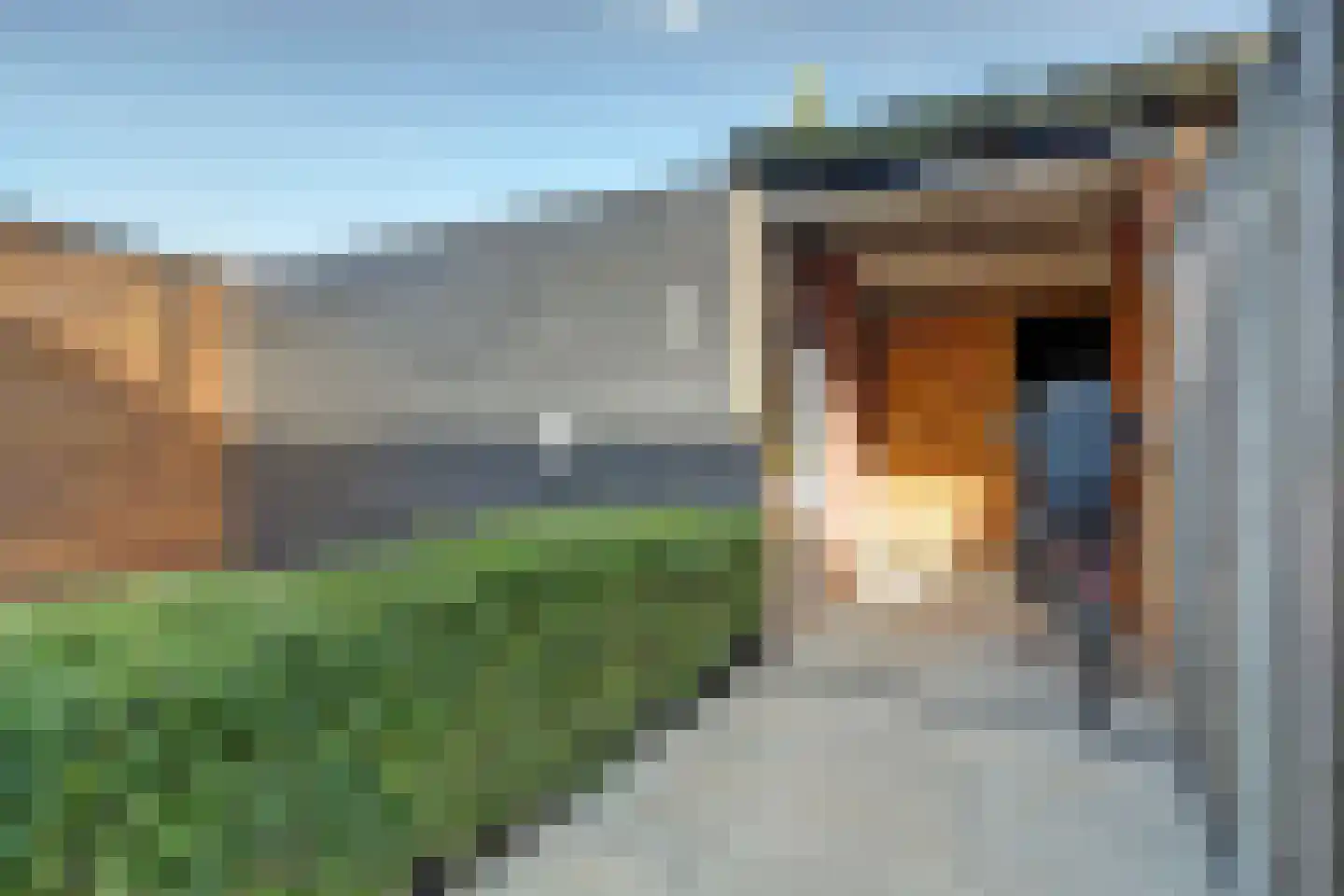 Hoogaarsstraat 56 Tholen thumbnail 28