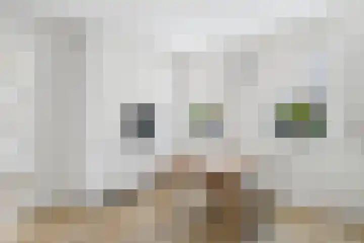 Hoogaarswerf 1 Terneuzen thumbnail 11