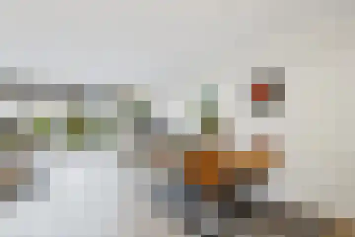 Hoogaarswerf 1 Terneuzen thumbnail 13