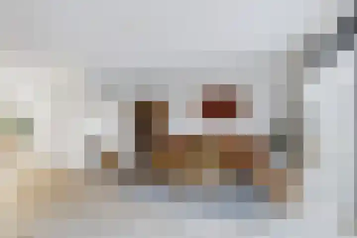Hoogaarswerf 1 Terneuzen thumbnail 16