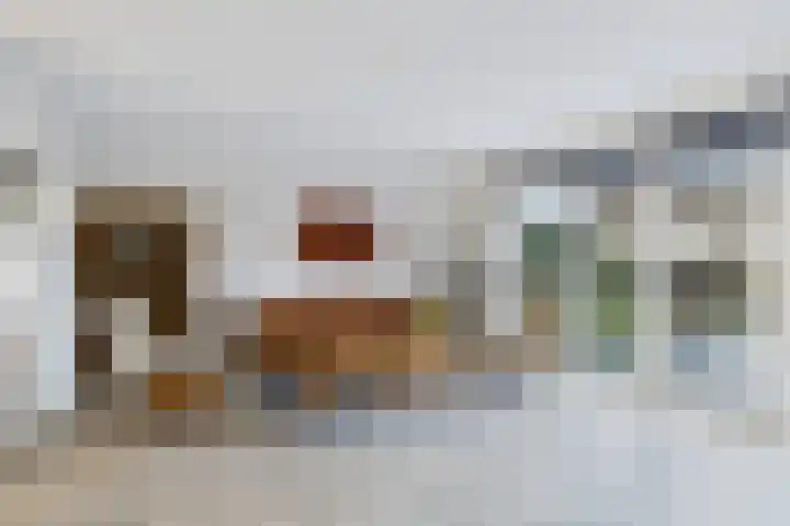 Hoogaarswerf 1 Terneuzen thumbnail 17