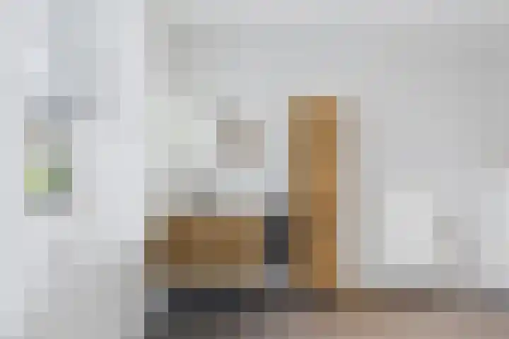 Hoogaarswerf 1 Terneuzen thumbnail 22