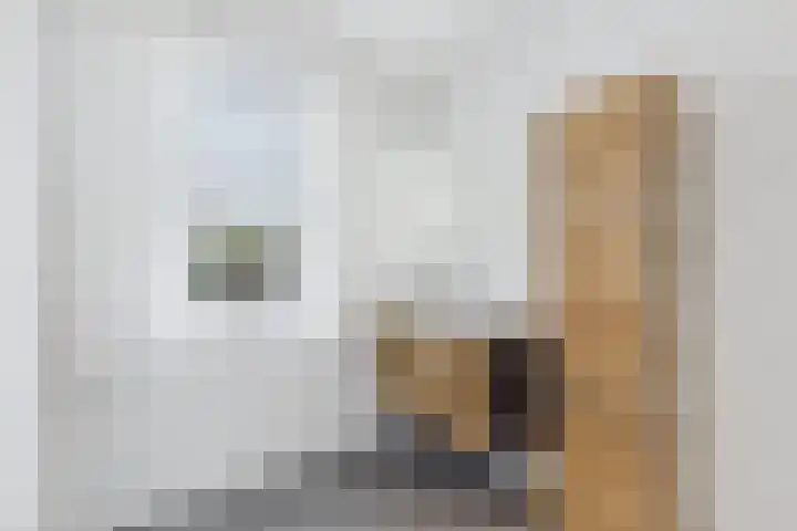 Hoogaarswerf 1 Terneuzen thumbnail 24