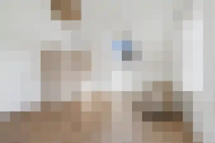 Hoogaarswerf 1 Terneuzen thumbnail 32