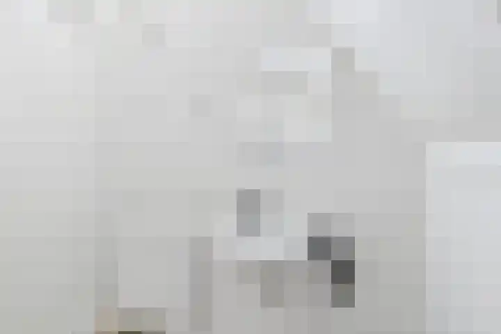 Hoogaarswerf 1 Terneuzen thumbnail 37
