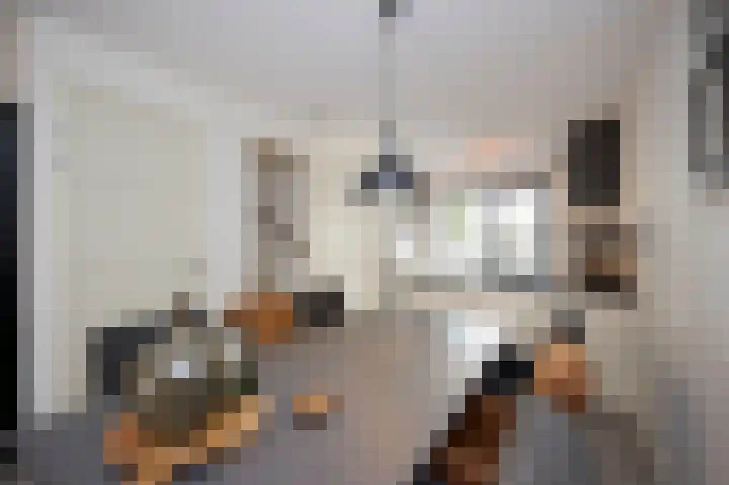 Hoogaarswerf 26 Terneuzen thumbnail 4