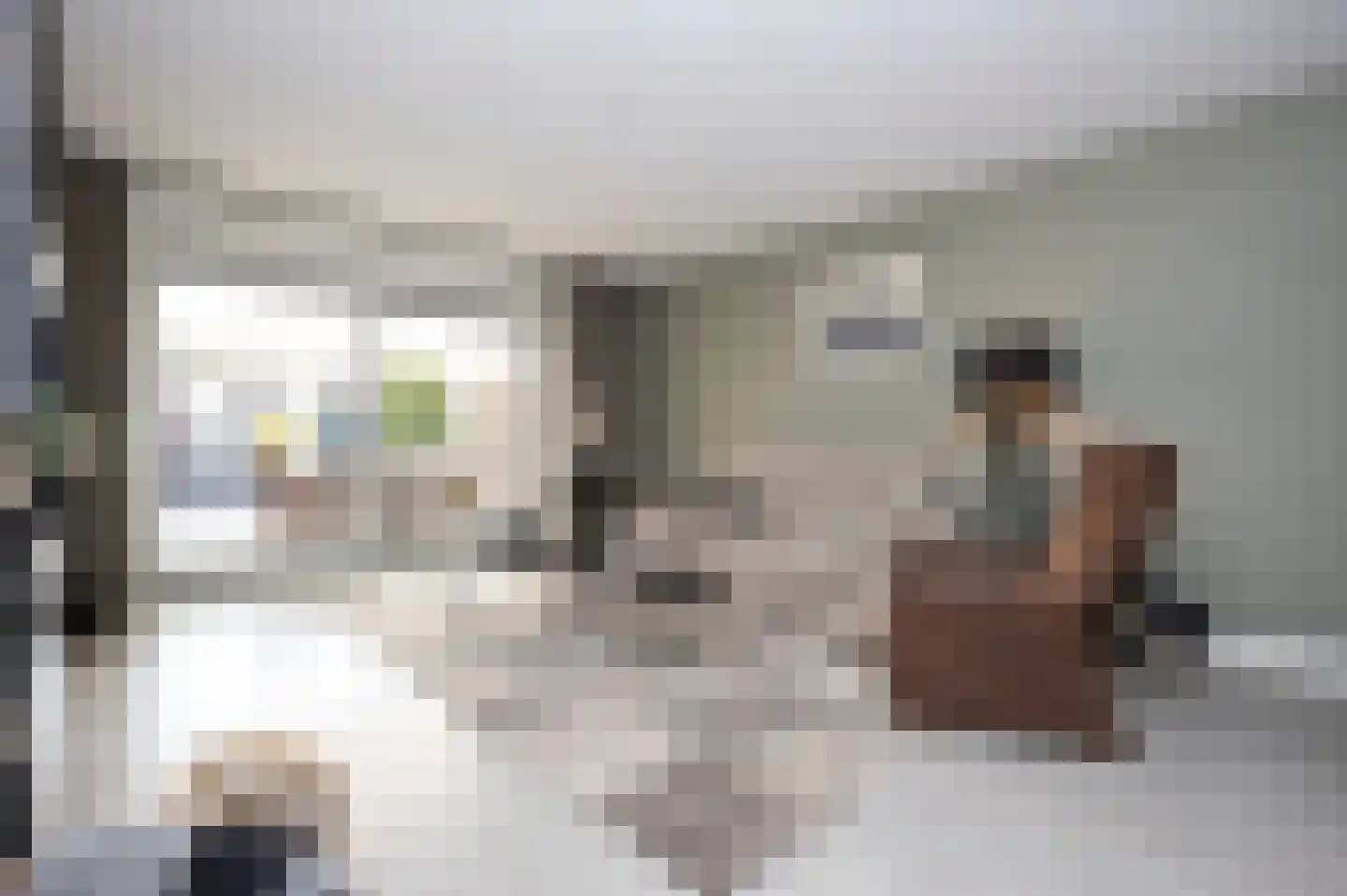 Hoogaarswerf 26 Terneuzen thumbnail 8