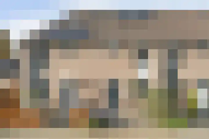 Hoogaarswerf 3 in Gouda