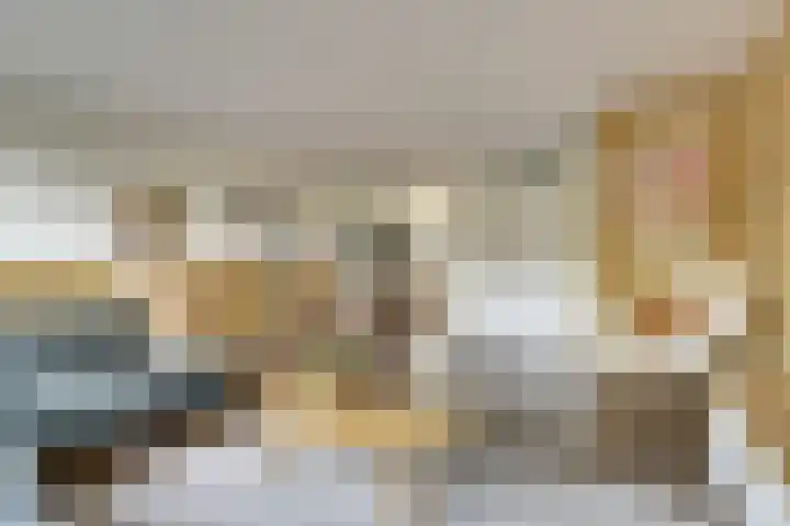 Hoogaarswerf 3 Gouda thumbnail 10