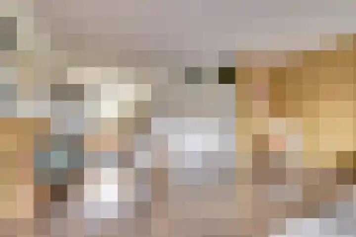 Hoogaarswerf 3 Gouda thumbnail 12