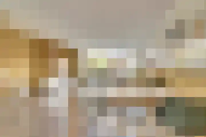 Hoogaarswerf 3 Gouda thumbnail 13