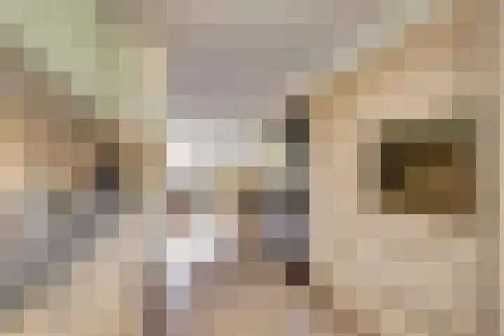 Hoogaarswerf 3 Gouda thumbnail 14