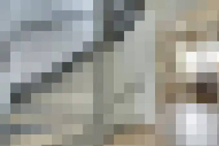 Hoogaarswerf 3 Gouda thumbnail 16