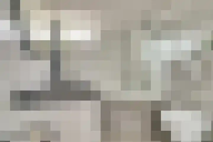 Hoogaarswerf 3 Gouda thumbnail 17