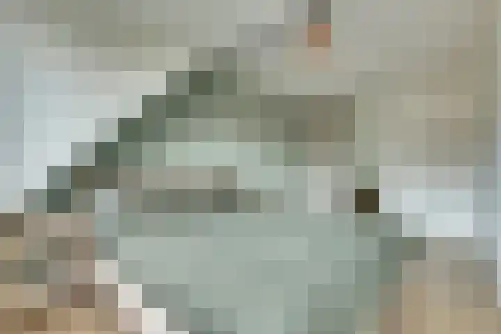 Hoogaarswerf 3 Gouda thumbnail 19