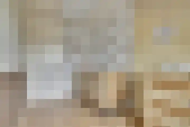 Hoogaarswerf 3 Gouda thumbnail 21