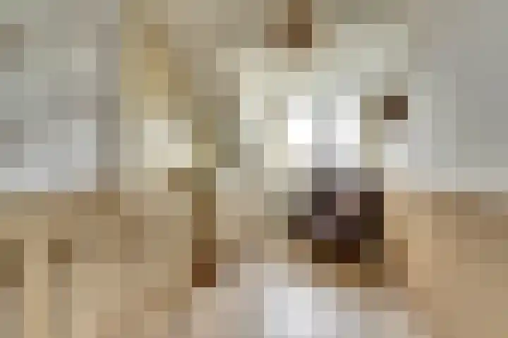 Hoogaarswerf 3 Gouda thumbnail 22