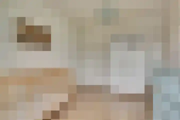 Hoogaarswerf 3 Gouda thumbnail 23