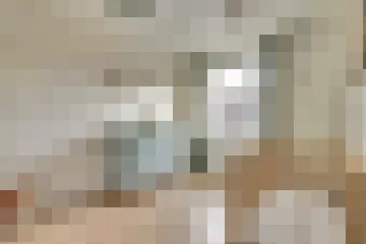Hoogaarswerf 3 Gouda thumbnail 24