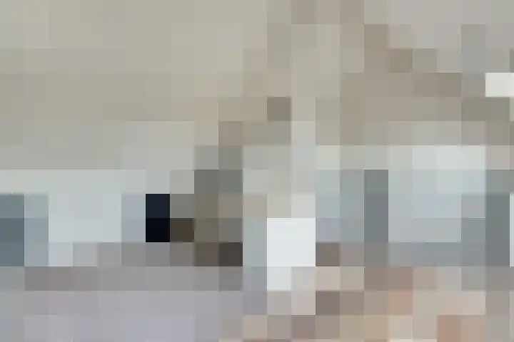 Hoogaarswerf 3 Gouda thumbnail 25