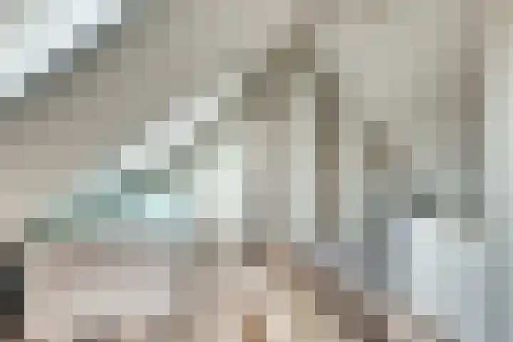 Hoogaarswerf 3 Gouda thumbnail 28