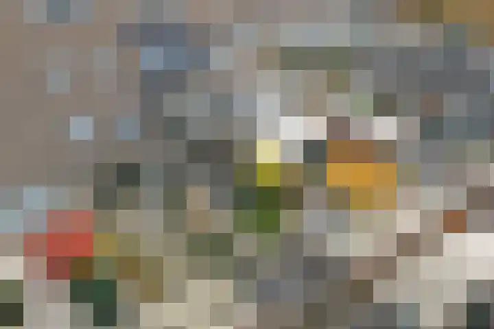 Hoogaarswerf 3 Gouda thumbnail 32