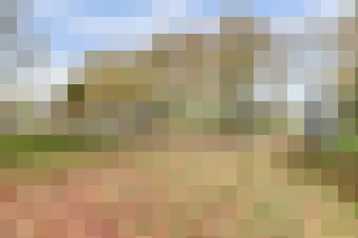Hoogaarswerf 3 Gouda thumbnail 33