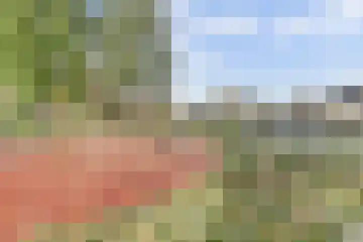 Hoogaarswerf 3 Gouda thumbnail 34