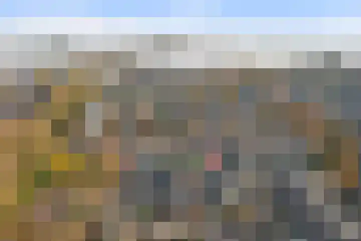 Hoogaarswerf 3 Gouda thumbnail 35