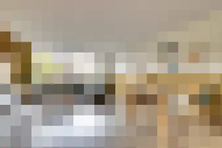 Hoogaarswerf 3 Gouda thumbnail 4