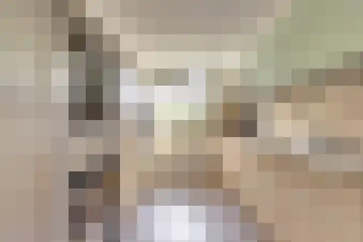 Hoogaarswerf 3 Gouda thumbnail 5