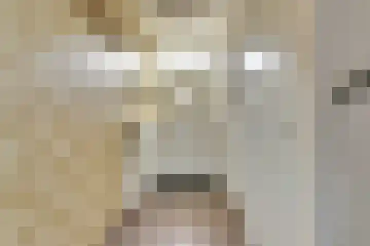 Hoogaarswerf 3 Gouda thumbnail 7