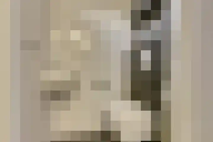 Hoogaarswerf 3 Gouda thumbnail 9